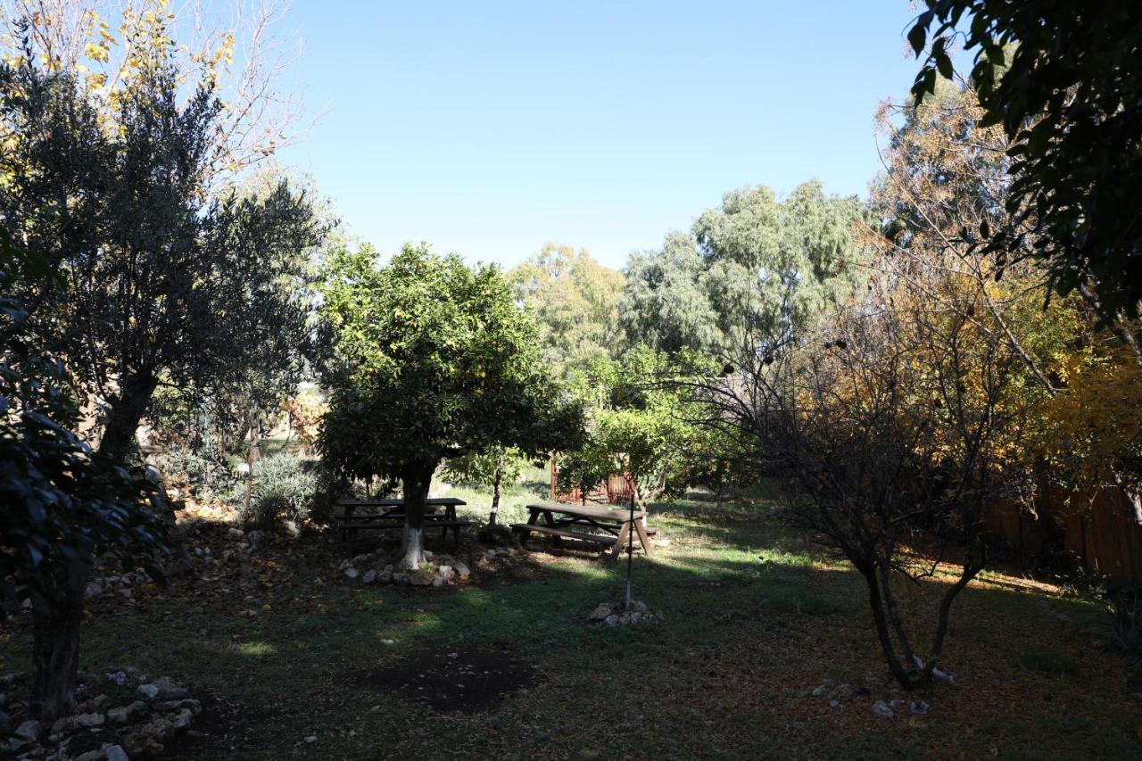 Отель Shulamit Yard Рош-Пинна Экстерьер фото